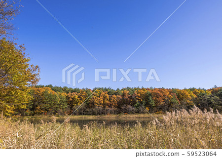 Miyagi Mt. Yakuto and surrounding autumn Miyagi Mt. Yakuto and surrounding autumn 59523064