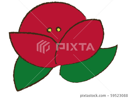 Flower camellia 59523088