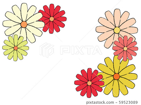 Hana Osteospermum Set 59523089