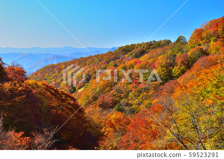 Mountains dyed in autumn colors seen from the Nissei maple line 59523291