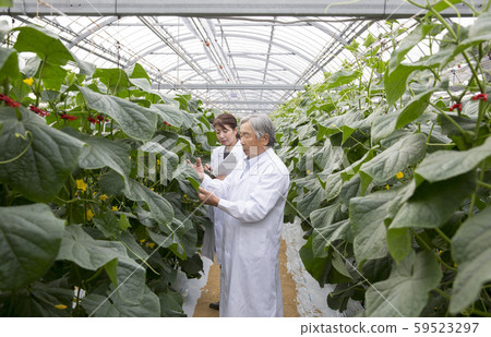 農業管理建議 59523297