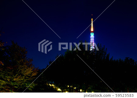 東京鐵塔特別的燈光夜景,無限,鑽石面紗 東京鐵塔特別的燈光夜景,無限,鑽石面紗 59523583