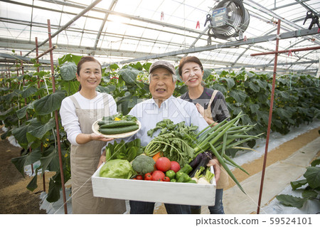 Farmer 59524101