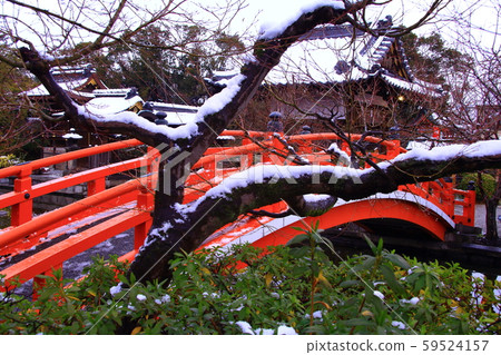 Shinsenen(京都市中京區)的冬景 Shinsenen(京都市中京區)的冬景 59524157