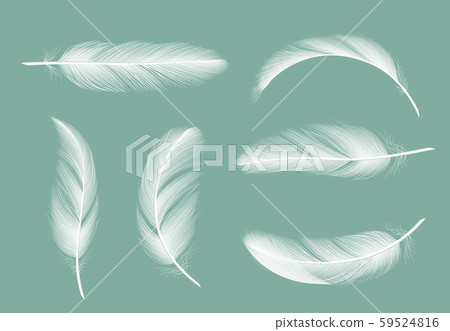 Feathers collection. Flying furry of goose vector realistic pictures isolated on transparent 59524816