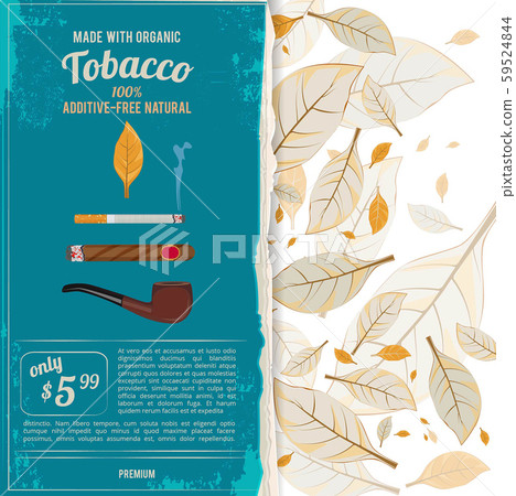 Background illustrations with tobacco leafs, cigarettes and various tools for smokers Background illustrations with tobacco leafs, cigarettes and various tools for smokers 59524844