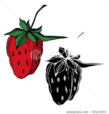 Vector strawberry fresh berry healthy food. Black and white engraved ink art. Isolated strawberry 59525033