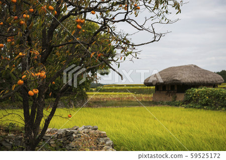 牙山大岩民俗村 59525172
