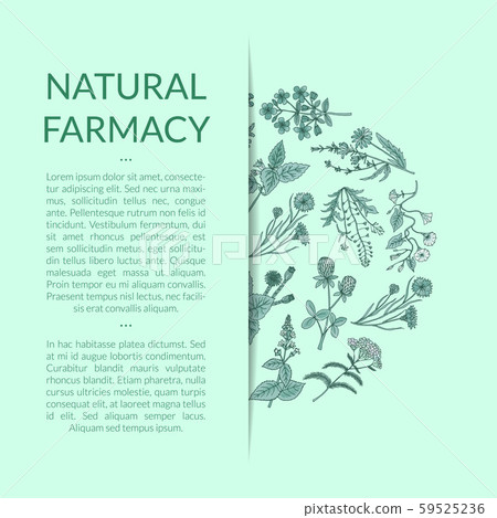 Vector hand drawn medical herbs - Stock Illustration [59525236] - PIXTA