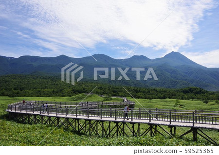 北海道知床五穀的高架木板路和知床山脈 北海道知床五穀的高架木板路和知床山脈 59525365