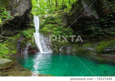 Oshiraji Falls, Yaita City, Tochigi Prefecture (August) 59525846