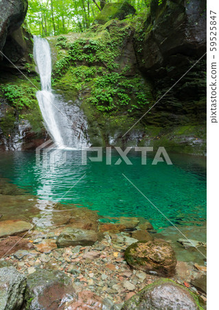 Oshiraji Falls, Yaita City, Tochigi Prefecture (August) 59525847