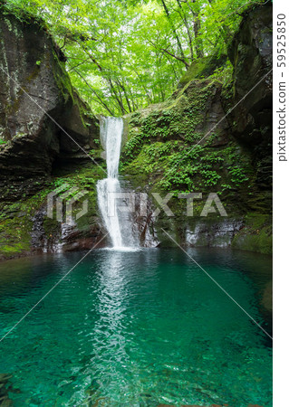 Oshiraji Falls, Yaita City, Tochigi Prefecture (August) 59525850