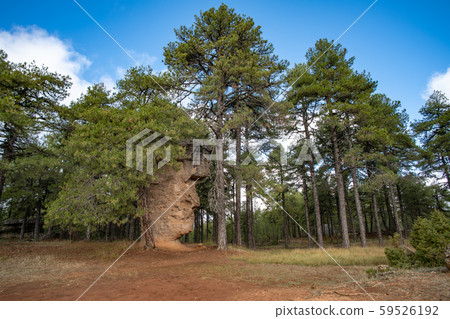 Unique rock formations in La Ciudad Encantada or Enchanted City natural park near Cuenca, Castilla la Mancha, Spain. 59526192