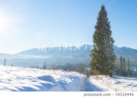 Winter mountains. Snowy mountain valley on sunny Winter mountains. Snowy mountain valley on sunny 59528446