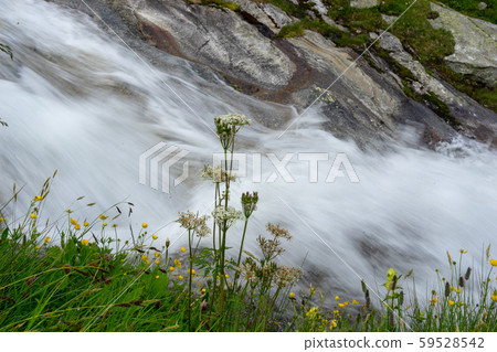Water , nature, river in mountain travel landscape 59528542