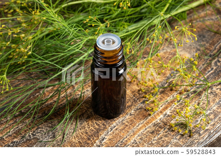 A bottle of dill seed oil with fresh blooming dill 59528843