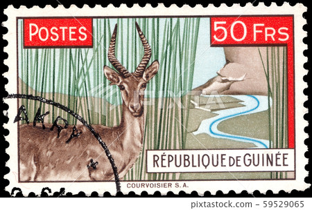 Postage stamp issued in Guinea with the image of 59529065