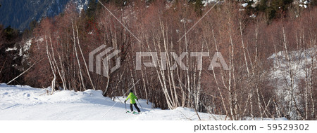 Skier descent on snowy ski slope in forest at sun Skier descent on snowy ski slope in forest at sun 59529302