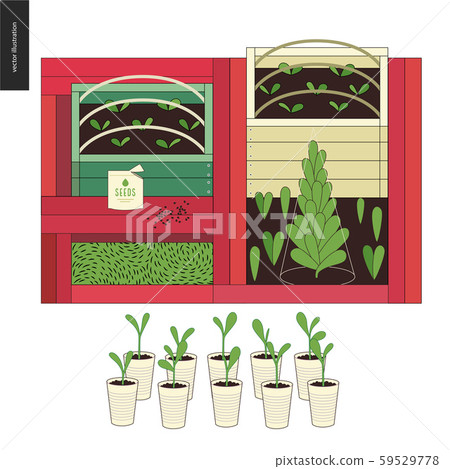Urban farming and gardening - seedbeds 59529778