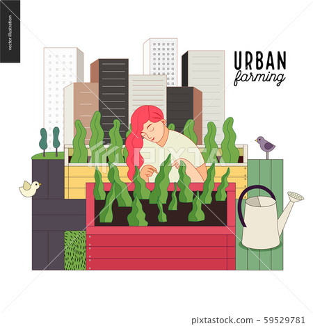 Urban farming and gardening Urban farming and gardening 59529781