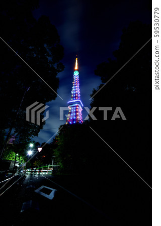 Tokyo Tower Special Light-Up Infinity Diamond Veil Tokyo Tower Special Light-Up Infinity Diamond Veil 59530779