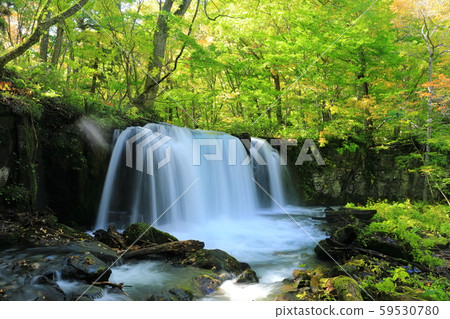 [Aomori Prefecture] Choshi Otaki of Oirase Stream 59530780