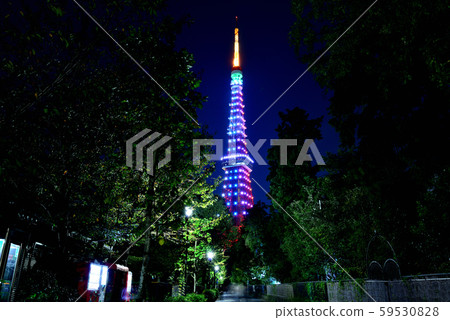 東京鐵塔特別點亮無限鑽石面紗 東京鐵塔特別點亮無限鑽石面紗 59530828