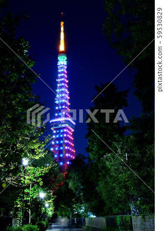 東京鐵塔特別點亮無限鑽石面紗 東京鐵塔特別點亮無限鑽石面紗 59530829
