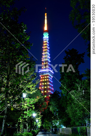 東京鐵塔特別點亮無限鑽石面紗 東京鐵塔特別點亮無限鑽石面紗 59530830