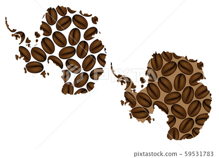 Antarctica -  map of coffee bean 59531783