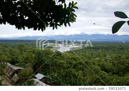 Amazing view of the Amazon Amazing view of the Amazon 59532071