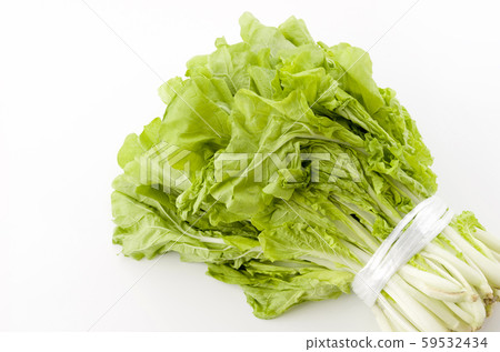 桑托尼亞 59532434