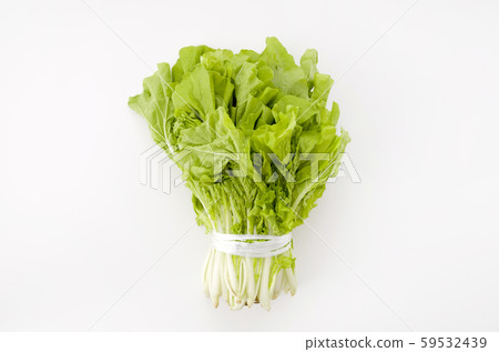 桑托尼亞 59532439