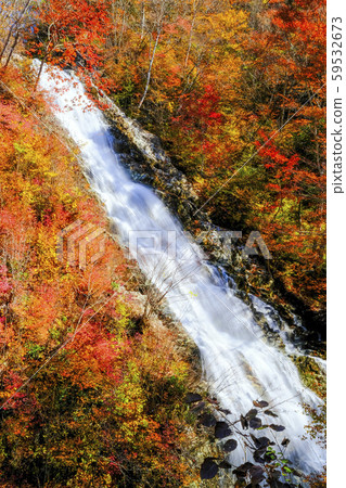 Autumn Shakunage Falls (vertical) 1 Autumn Shakunage Falls (vertical) 1 59532673