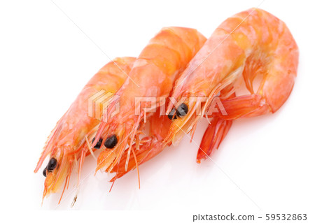 Shrimp Shrimp 59532863