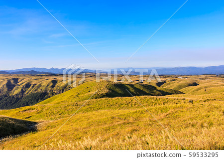 Daikanmine's autumn scenery and grass foliage [Aso City, Kumamoto Prefecture] 59533295