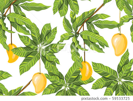 Seamless pattern, background with tropical plants Seamless pattern, background with tropical plants 59533725