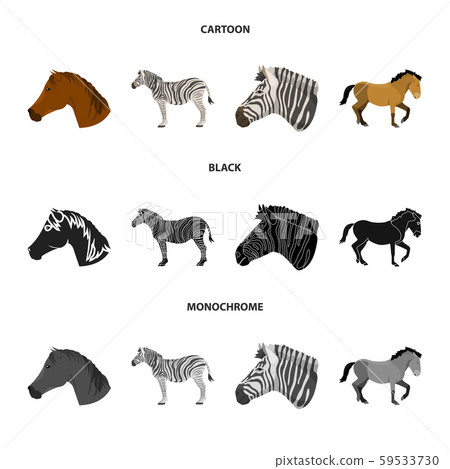Vector illustration of trot and running symbol. Set of trot and clipart stock symbol for web. Vector illustration of trot and running symbol. Set of trot and clipart stock symbol for web. 59533730