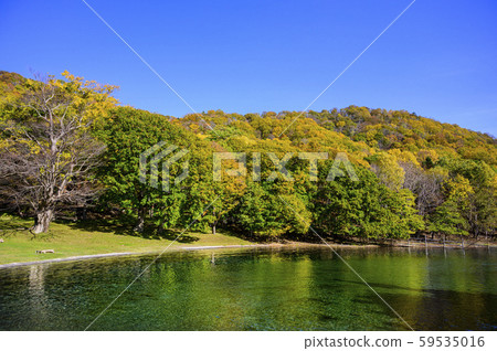中島洞爺湖的景色 中島洞爺湖的景色 59535016