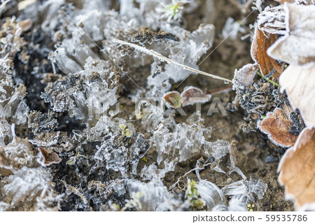 [Frost column] 59535786