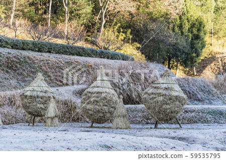 [Warabotchi] 59535795