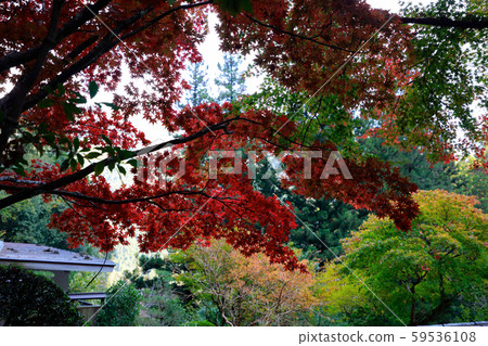 岩屋廟 59536108