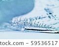 ice World 59536517