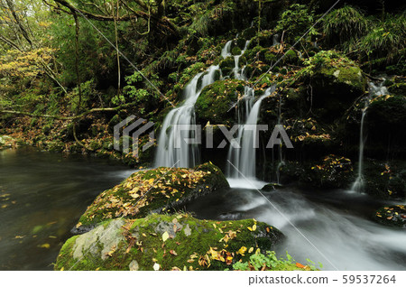 Motoyuki underwater water Motoyuki underwater water 59537264