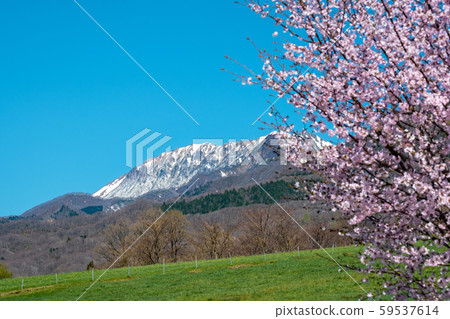 大山春天藍天 大山春天藍天 59537614