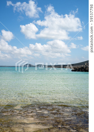 從伊拉布島 從伊拉布島 59537798