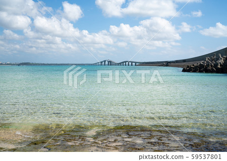 從伊拉布島 從伊拉布島 59537801