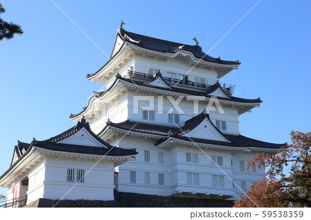 小田原城 59538359
