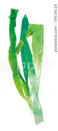 Green onion Green onion 59539119